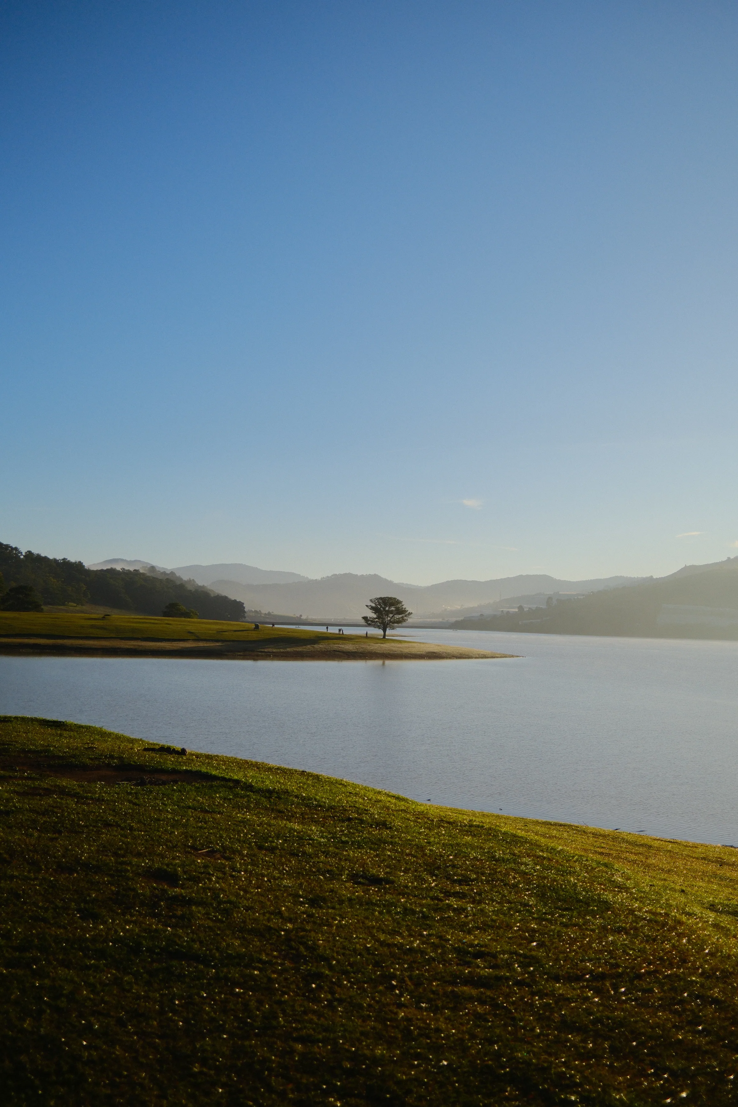 Da Lat lake, grass field and lone tree from the Fujifilm X100VI Vietnam archive