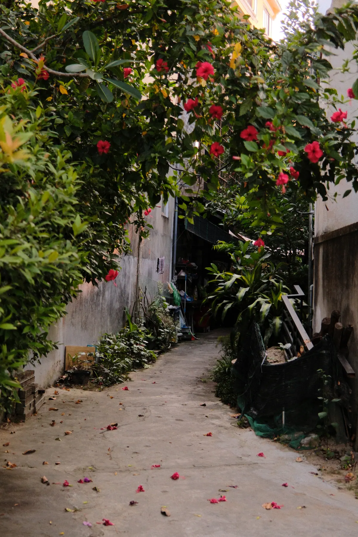 Vietnam photograph by Artem Shutkin, April