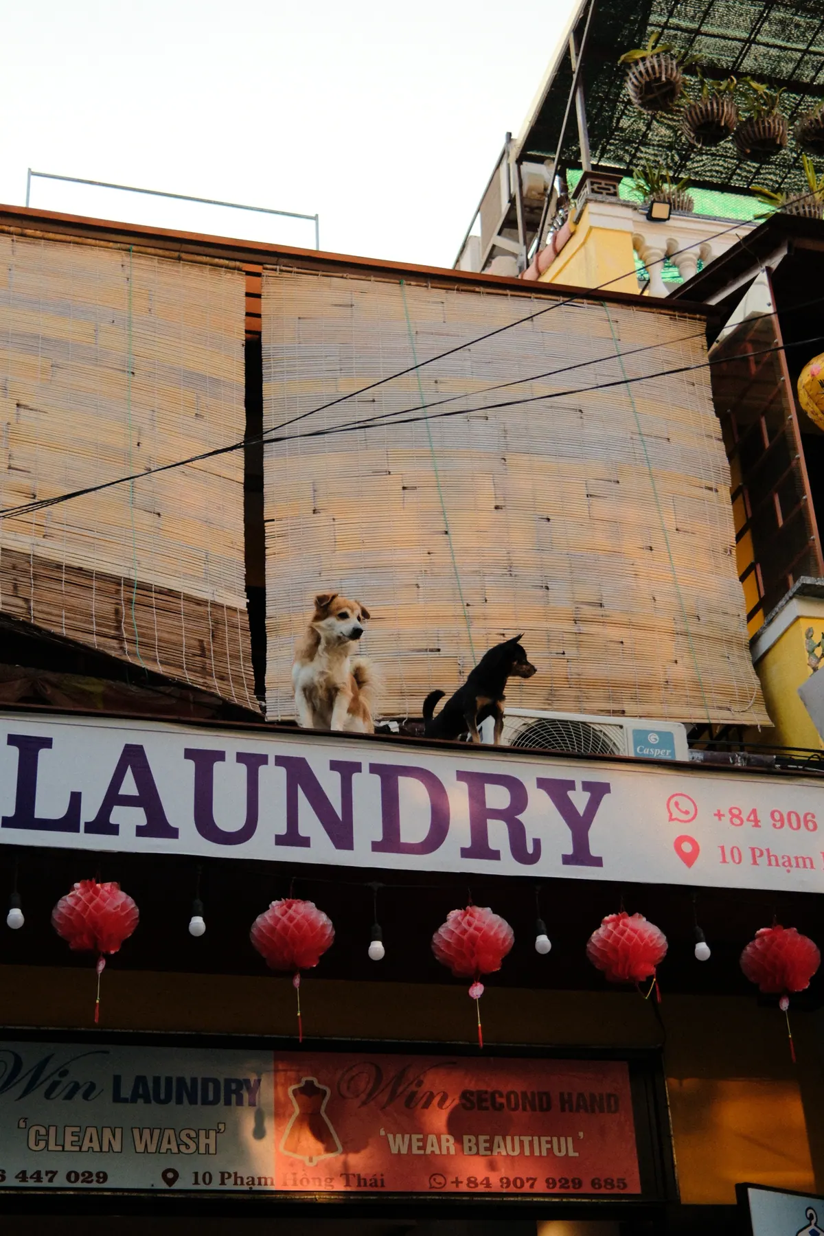 Vietnam photograph by Artem Shutkin, April