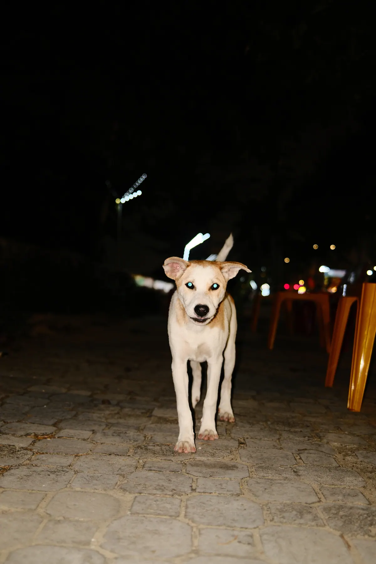 Vietnam photograph by Artem Shutkin, April