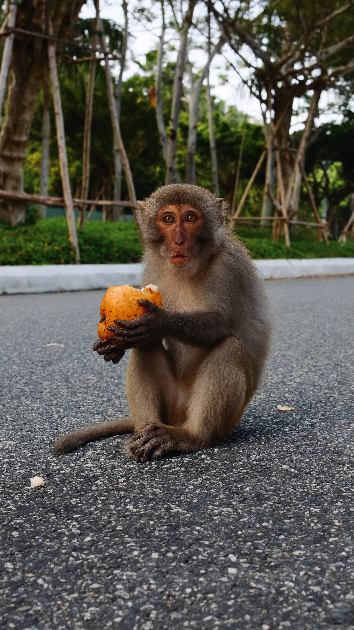 Vietnam photograph by Artem Shutkin, March