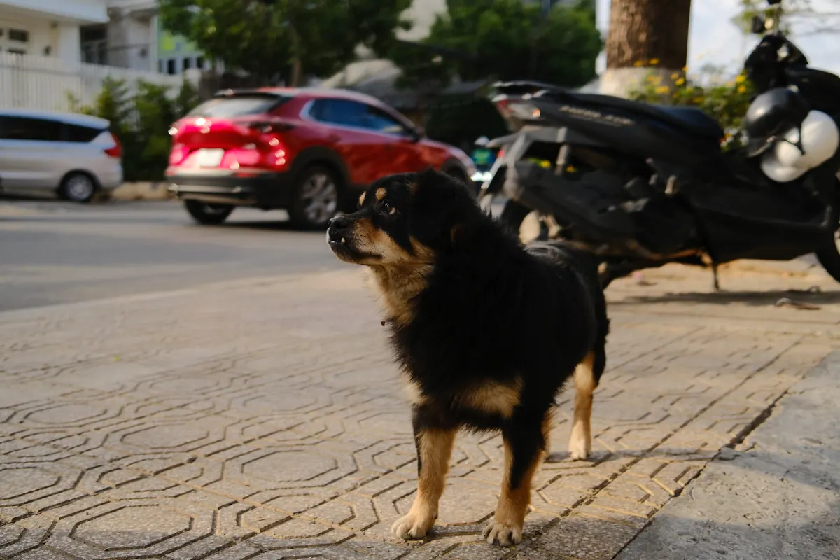 Vietnam photograph by Artem Shutkin, May