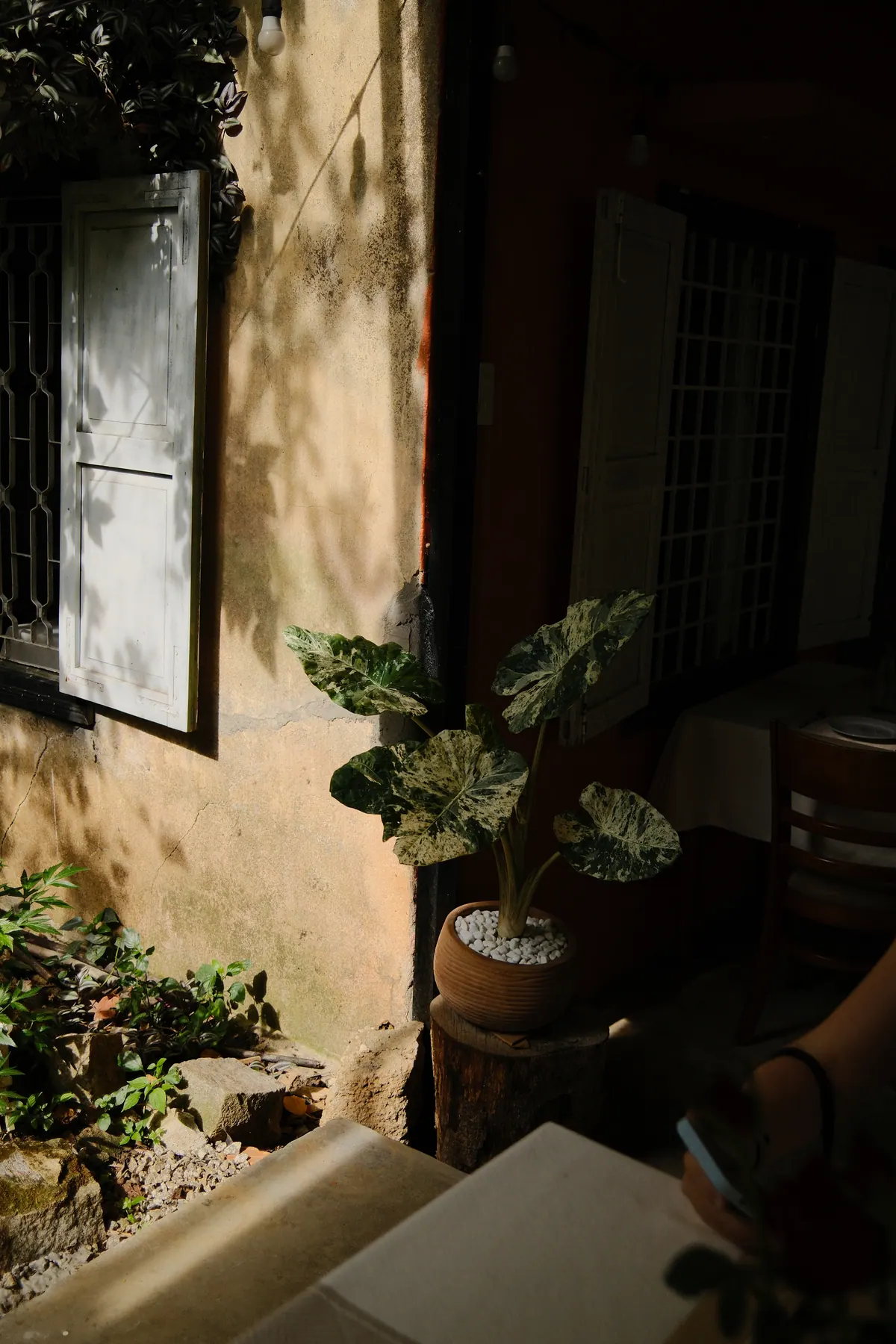 Vietnam photograph by Artem Shutkin, May
