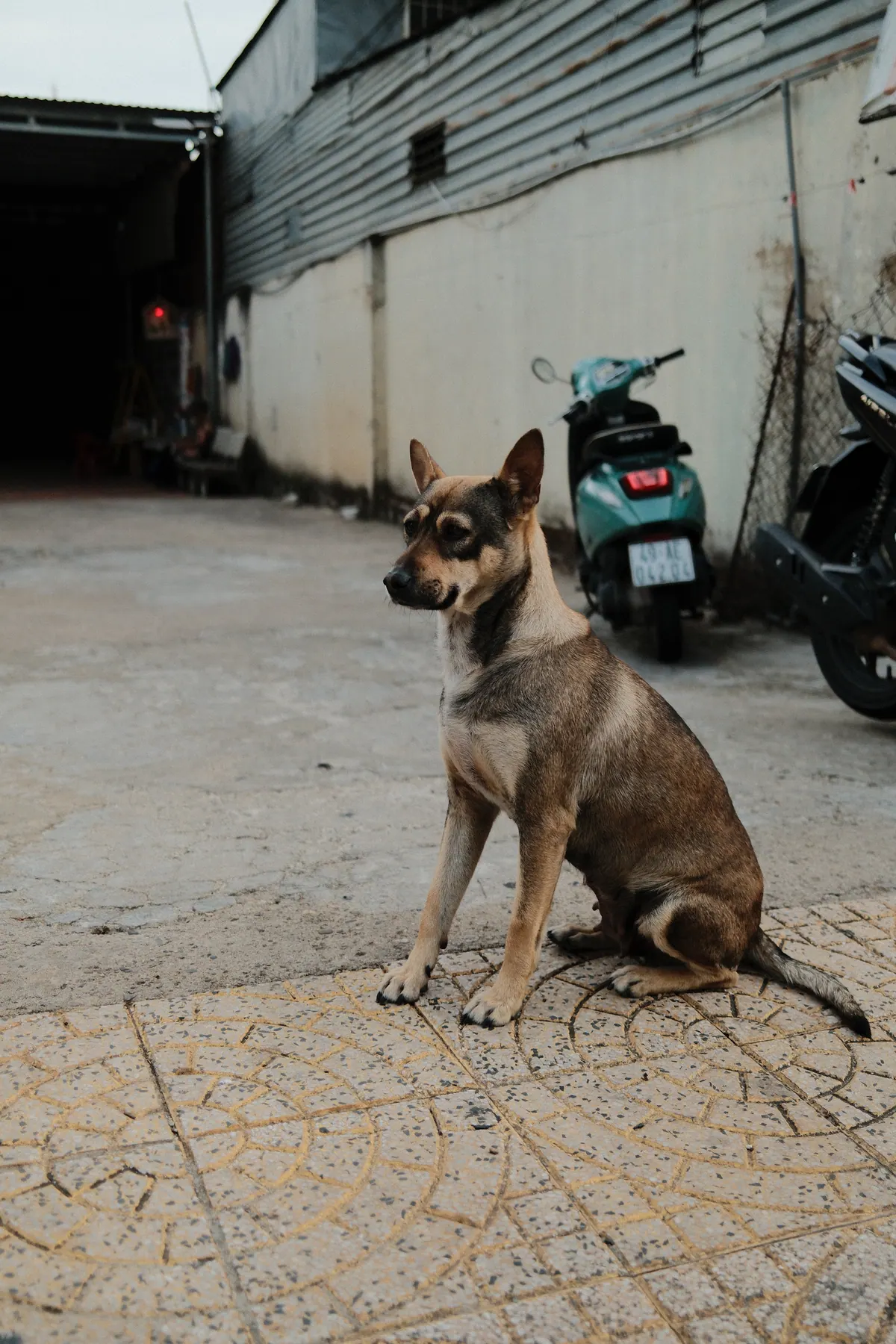 Vietnam photograph by Artem Shutkin, May