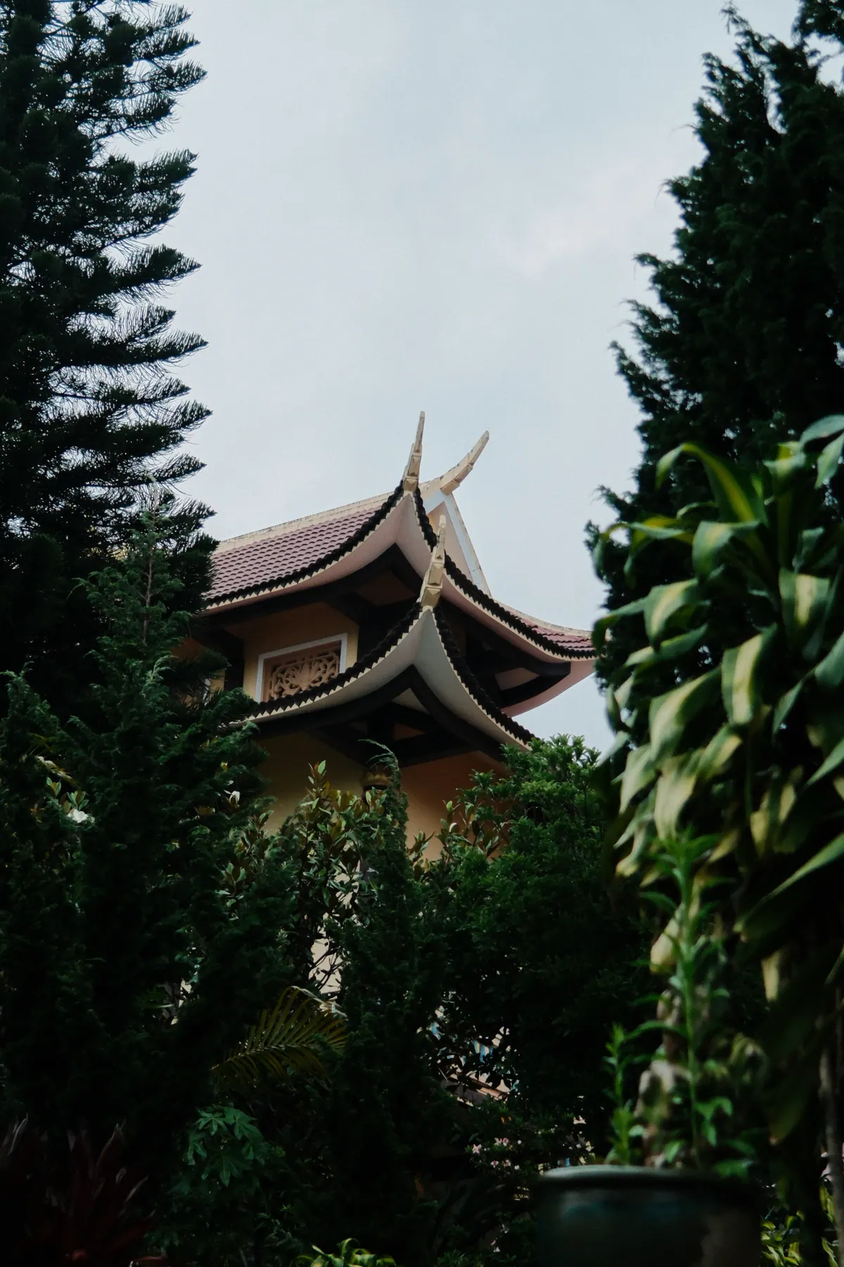 Vietnam photograph by Artem Shutkin, Da Lat
