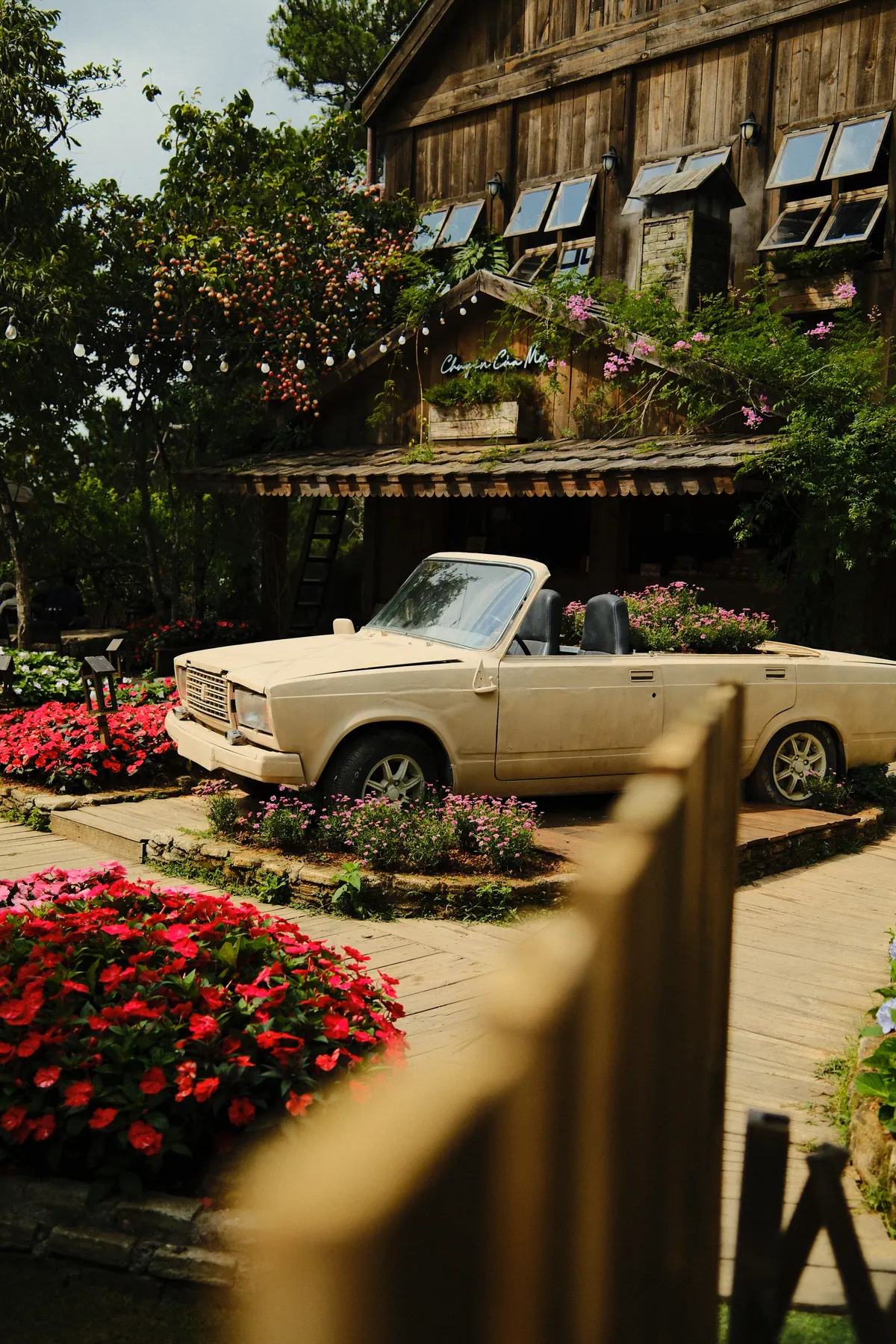 Vietnam photograph by Artem Shutkin, Da Lat