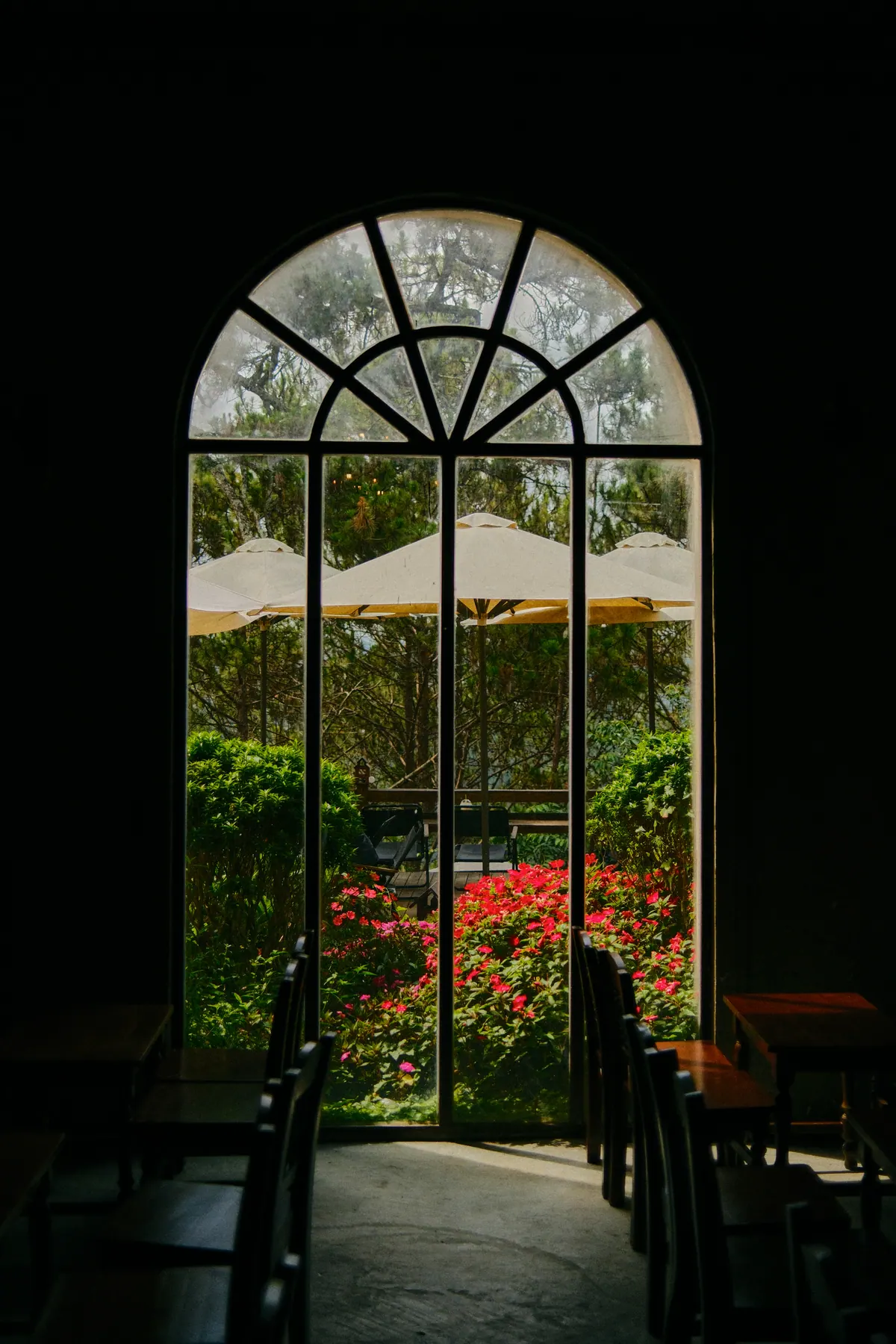 Vietnam photograph by Artem Shutkin, Da Lat
