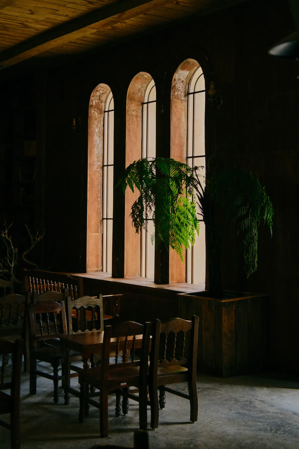 Vietnam photograph by Artem Shutkin, Da Lat