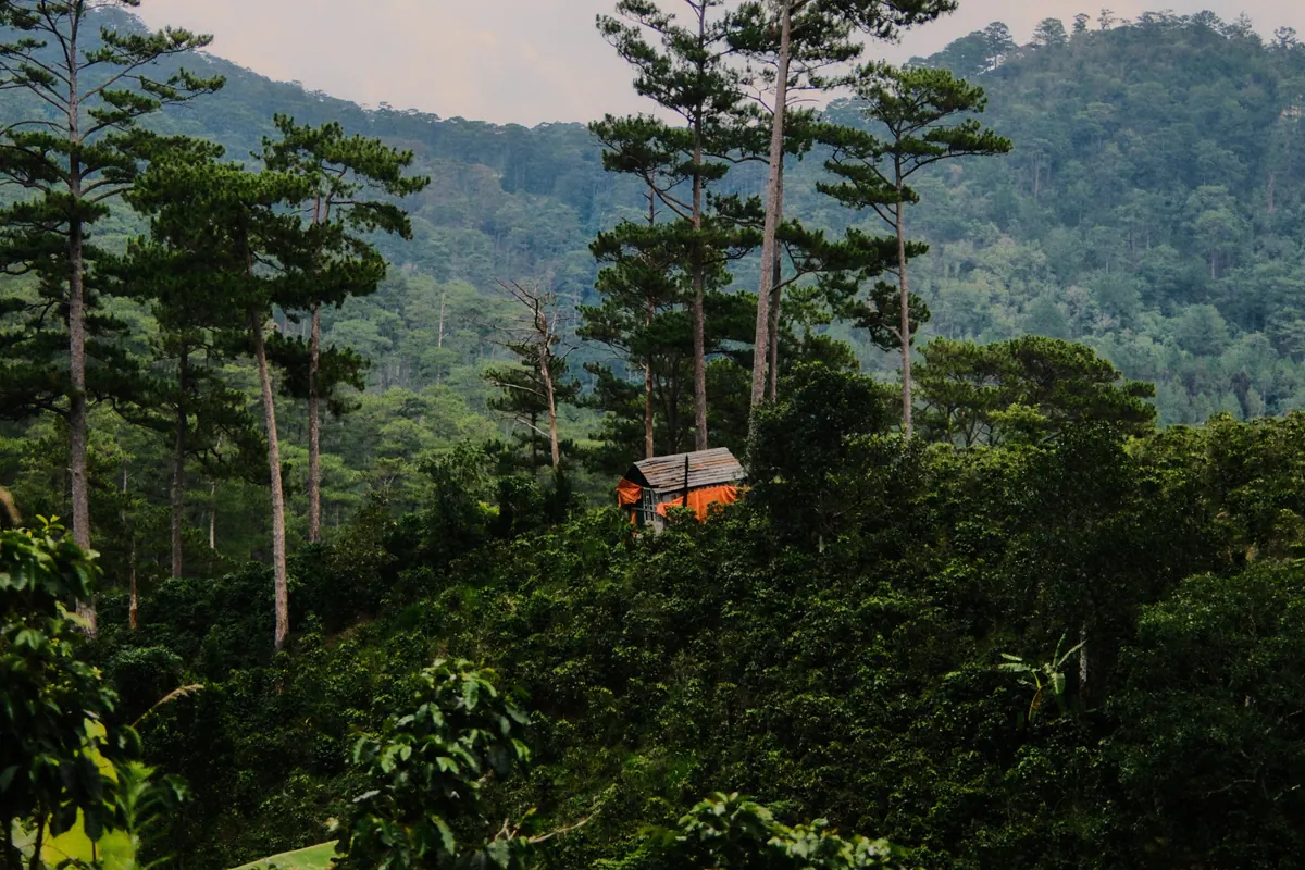 Vietnam photograph by Artem Shutkin, Da Lat