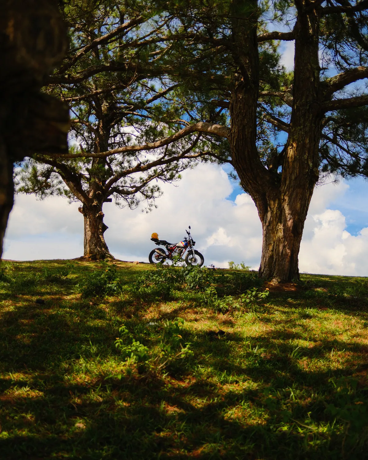 Vietnam photograph by Artem Shutkin, Da Lat