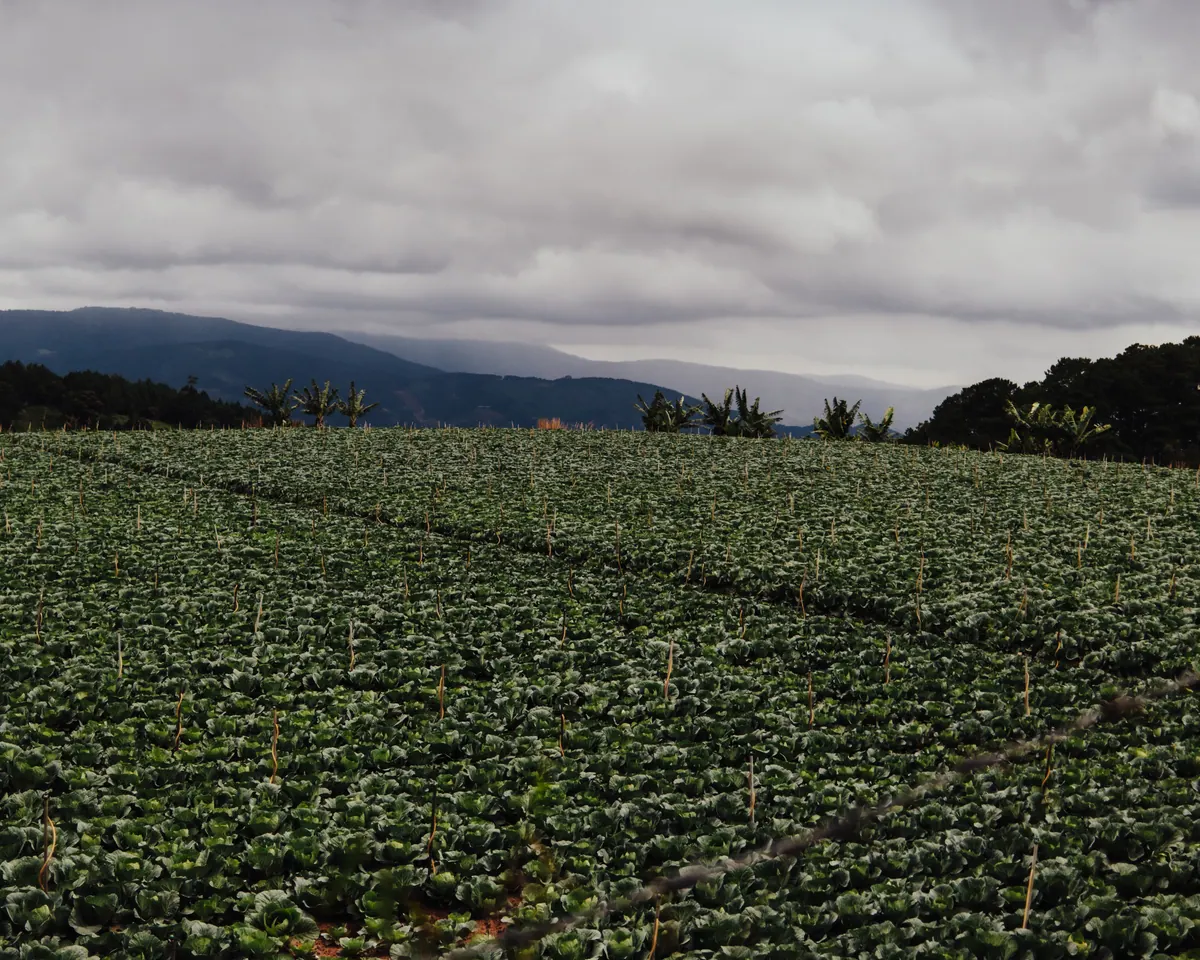 Vietnam photograph by Artem Shutkin, Da Lat