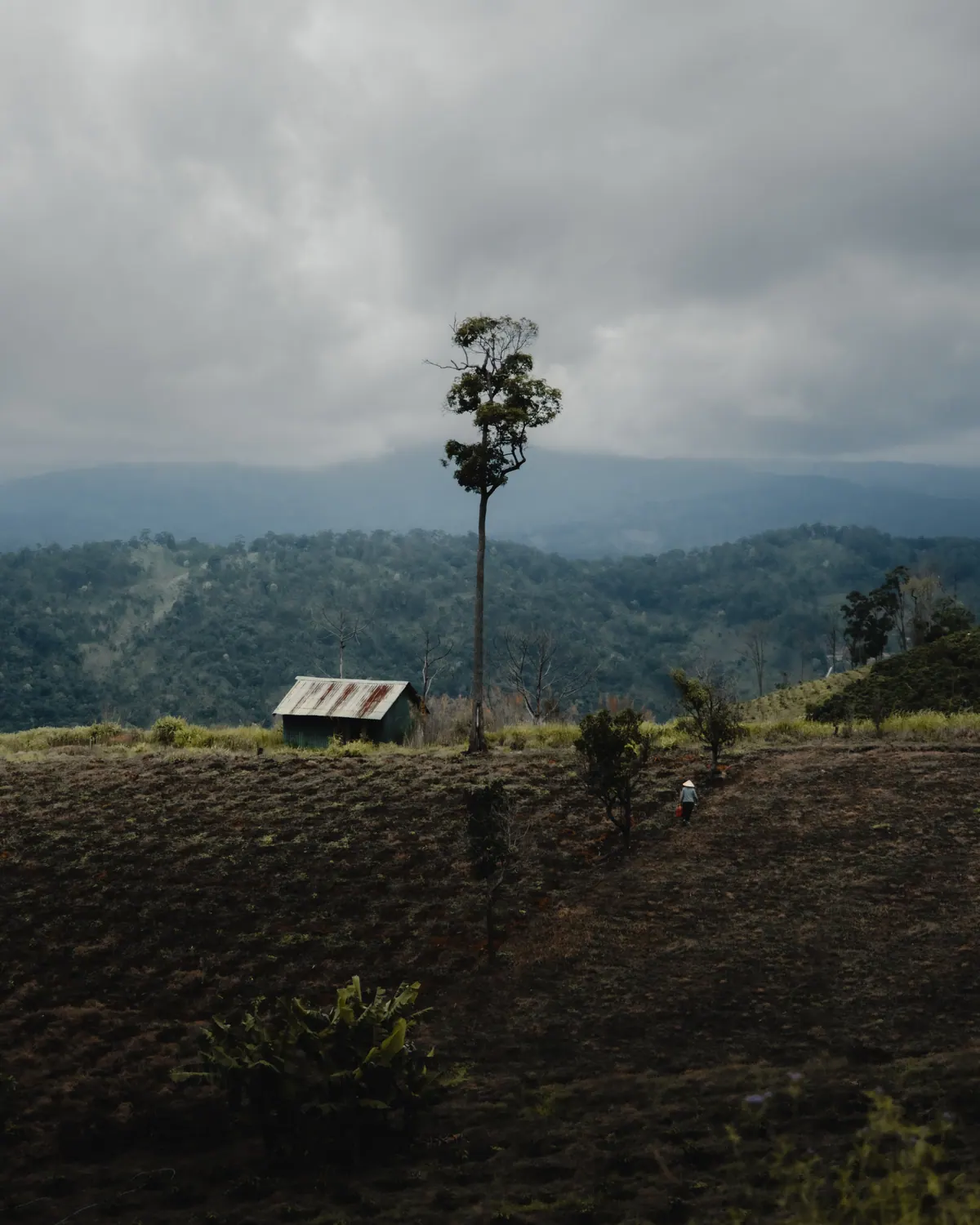 Vietnam photograph by Artem Shutkin, Da Lat