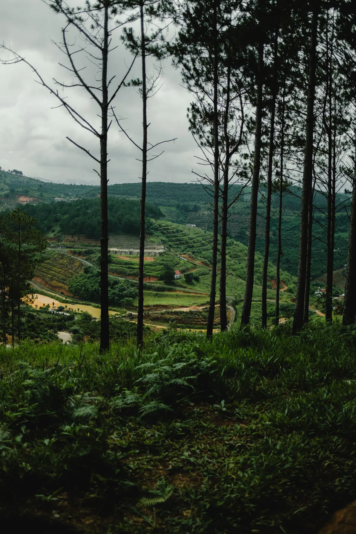Vietnam photograph by Artem Shutkin, Da Lat
