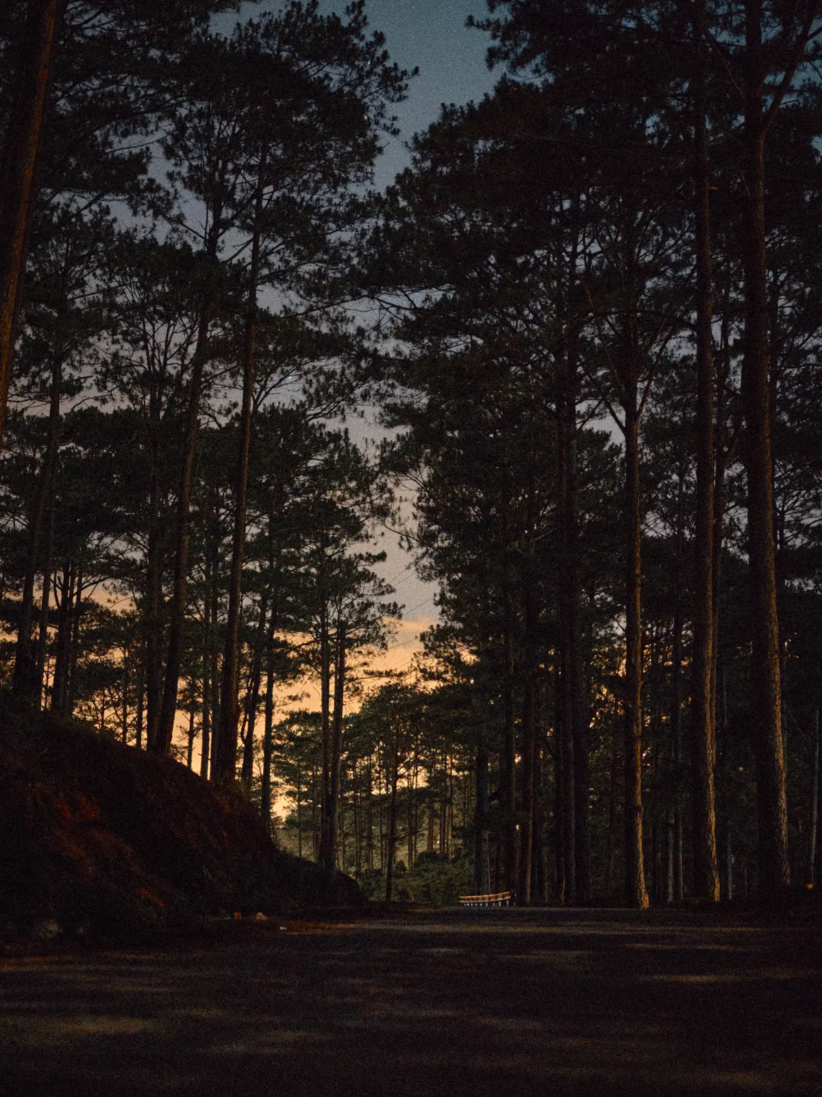 Vietnam photograph by Artem Shutkin, Da Lat